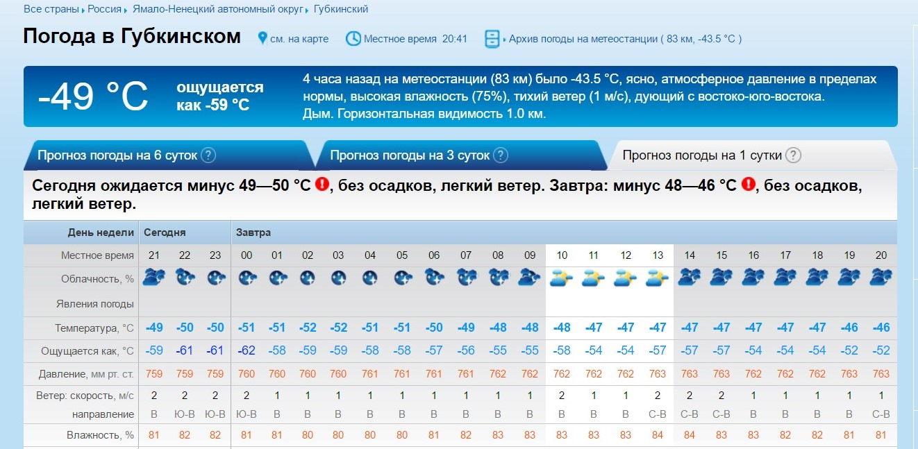 Погода чердынь гисметео пермский край. Погода Губкинский. Погода в Ноябрьске. ПОГОЗ. Погода в Могилеве сегодня.