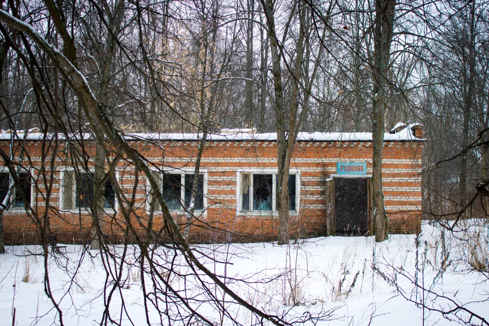 Пионерский лагерь московский родник истринский район фото