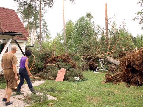 Ураган в ленобласти 2010. Ураган в лен обл в 2010. Мельничный ручей вырица. Ураган в ленобласти сегодня. Ураган в ленобласти 2010.