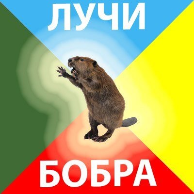 Новый мем с бобром