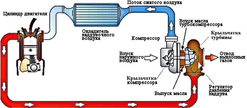 Улитка в машине что это