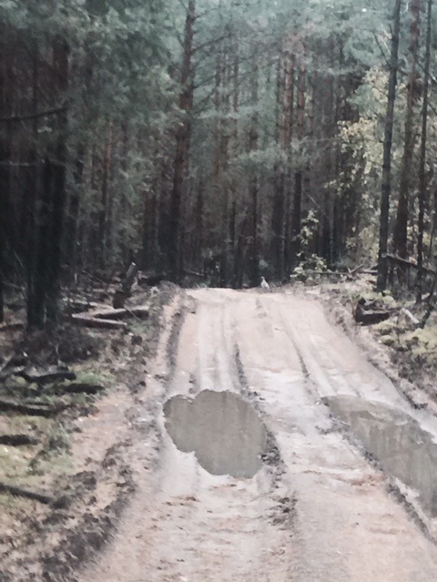 Глупая птица — глухарь, точнее баба его — УАЗ 315195 Hunter, 2,7 л ...