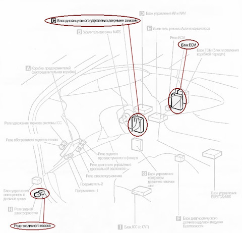 Удаление вмятин с крыла. - Remzona-X 73 Удаление вмятин с крыла. - Remzona-X 50