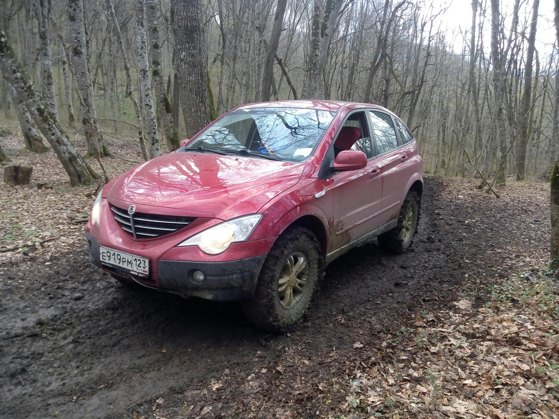 Ssangyong actyon 1 поколения болячки