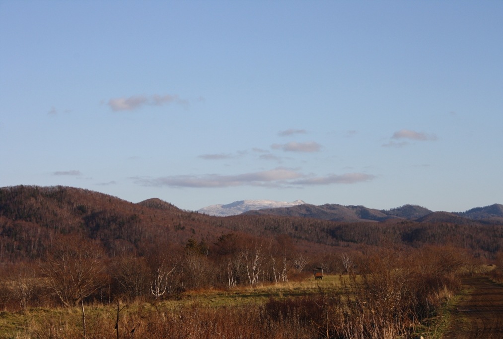 Фото в бортжурнале Nissan Safari (Y60)