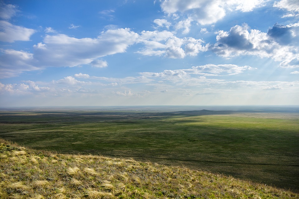 Климат степи картинки