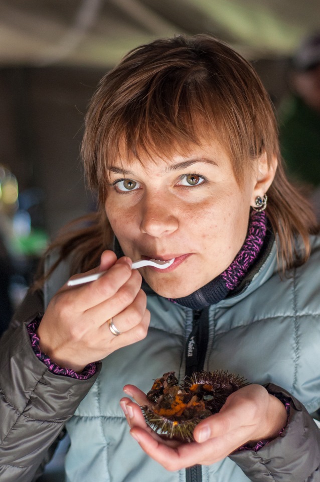 Фото в бортжурнале Mitsubishi Pajero Sport (1G)