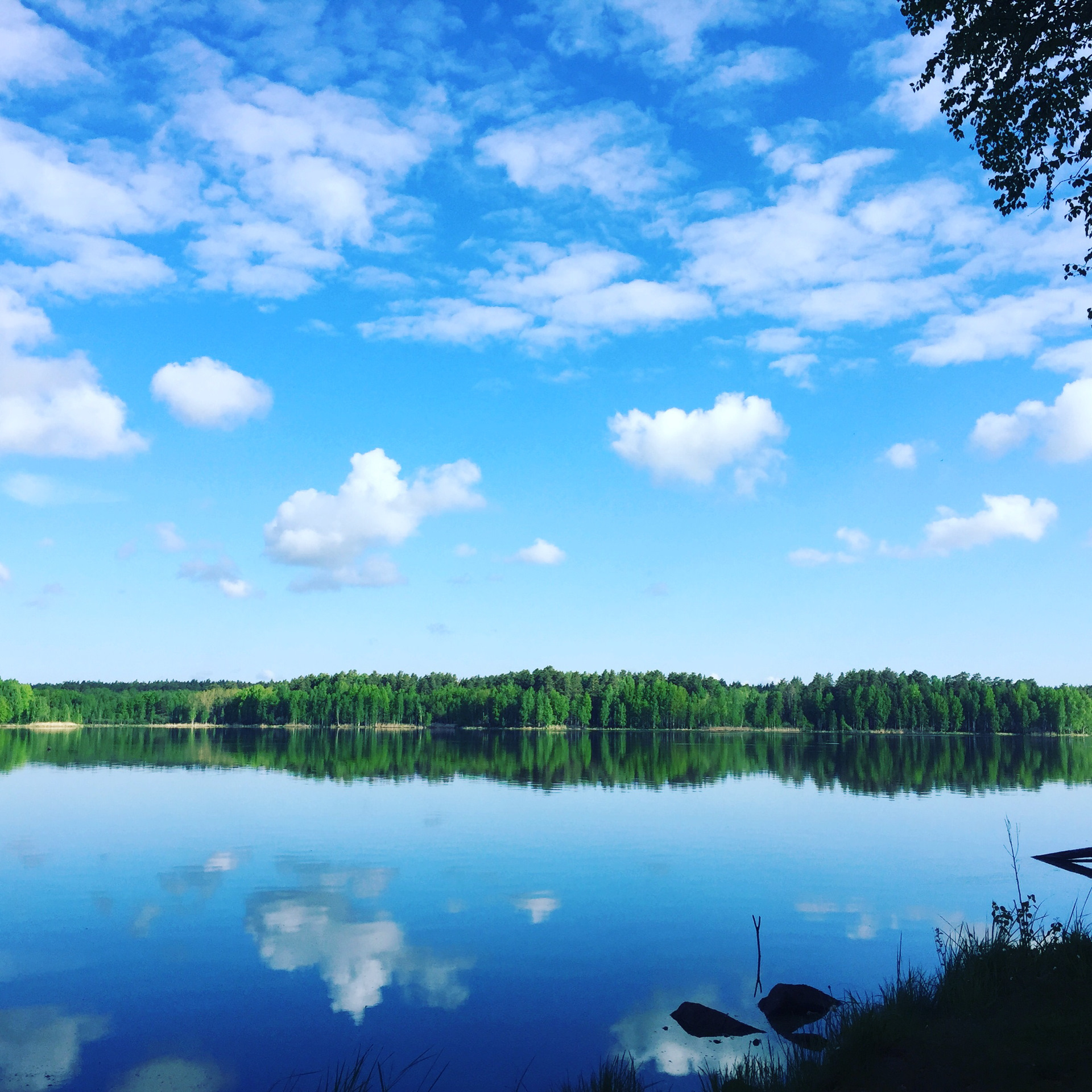 Белоярское водохранилище фотографии