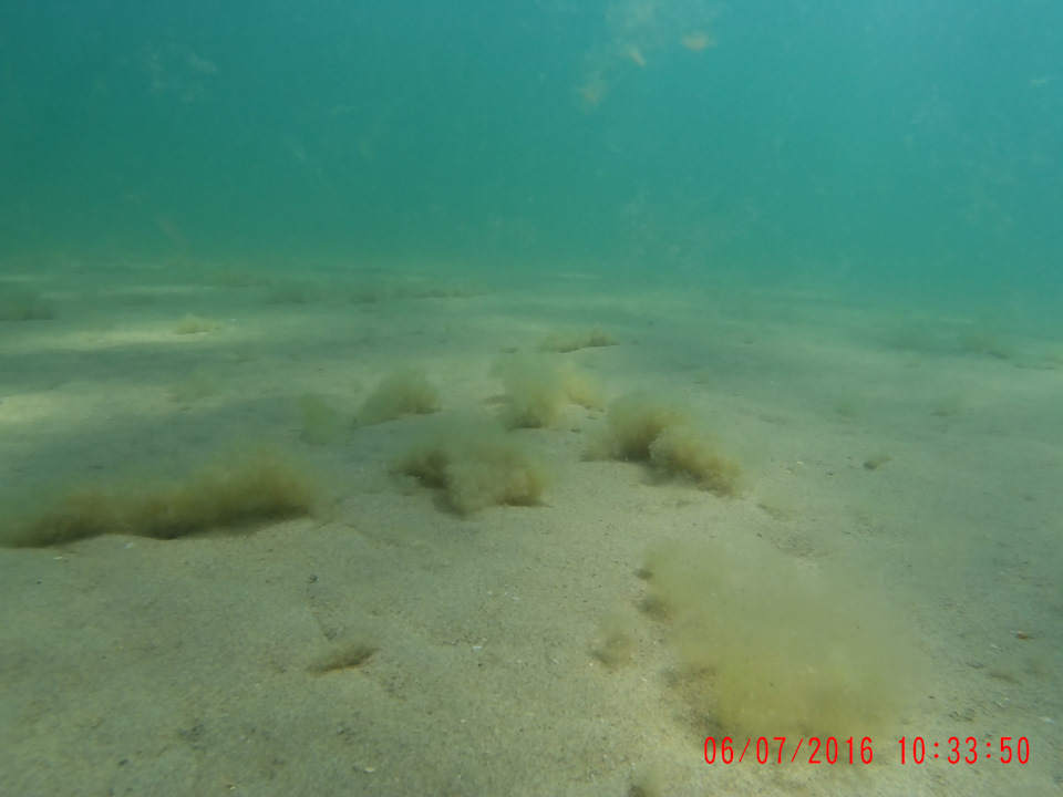 Фото в бортжурнале SsangYong Kyron