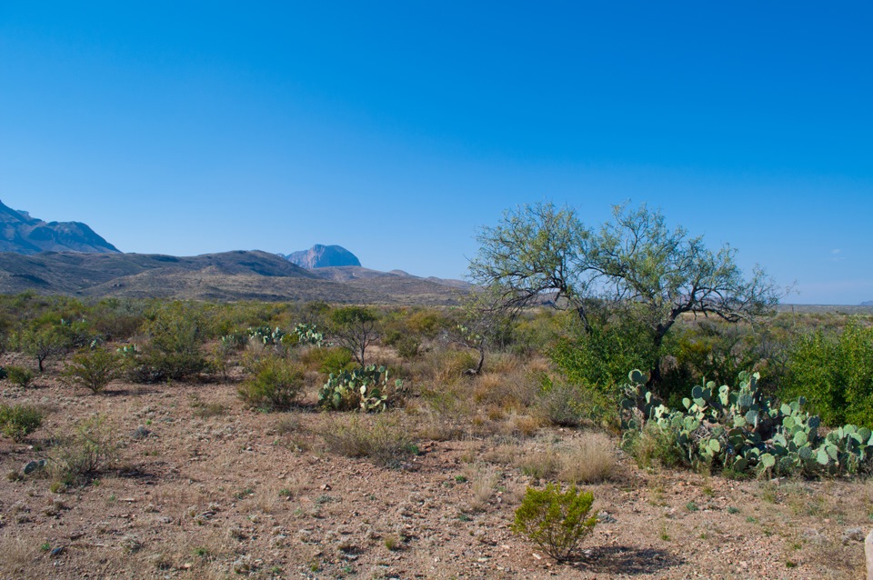 Once in Texas national Park big Band