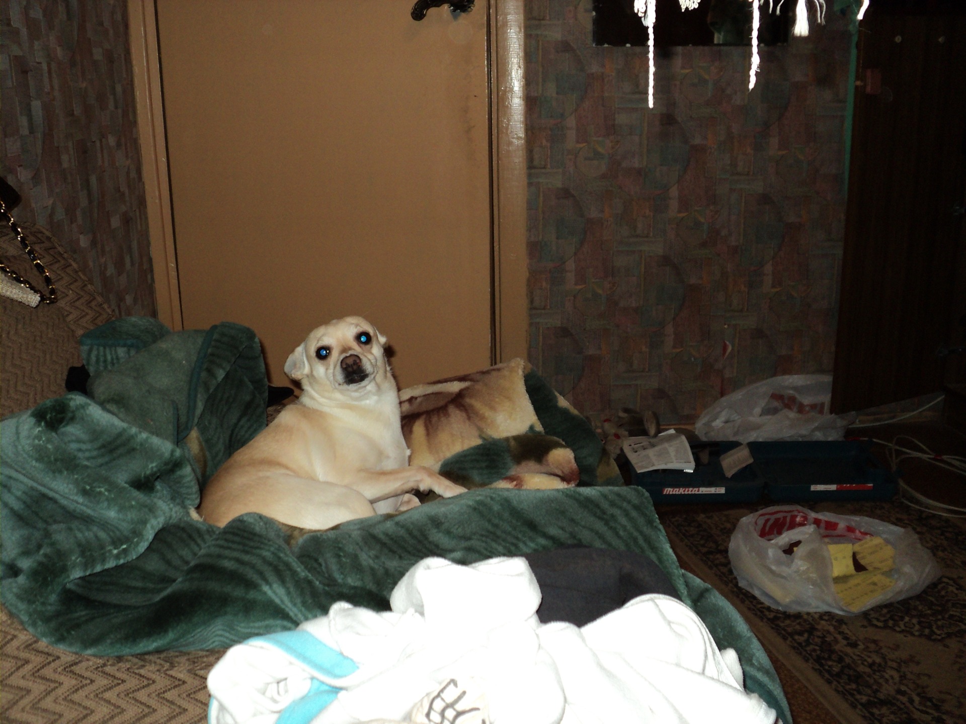 Эмблема мазда 3 своими руками — Mazda 3 (1G), 1,6 л., 2006 года ...