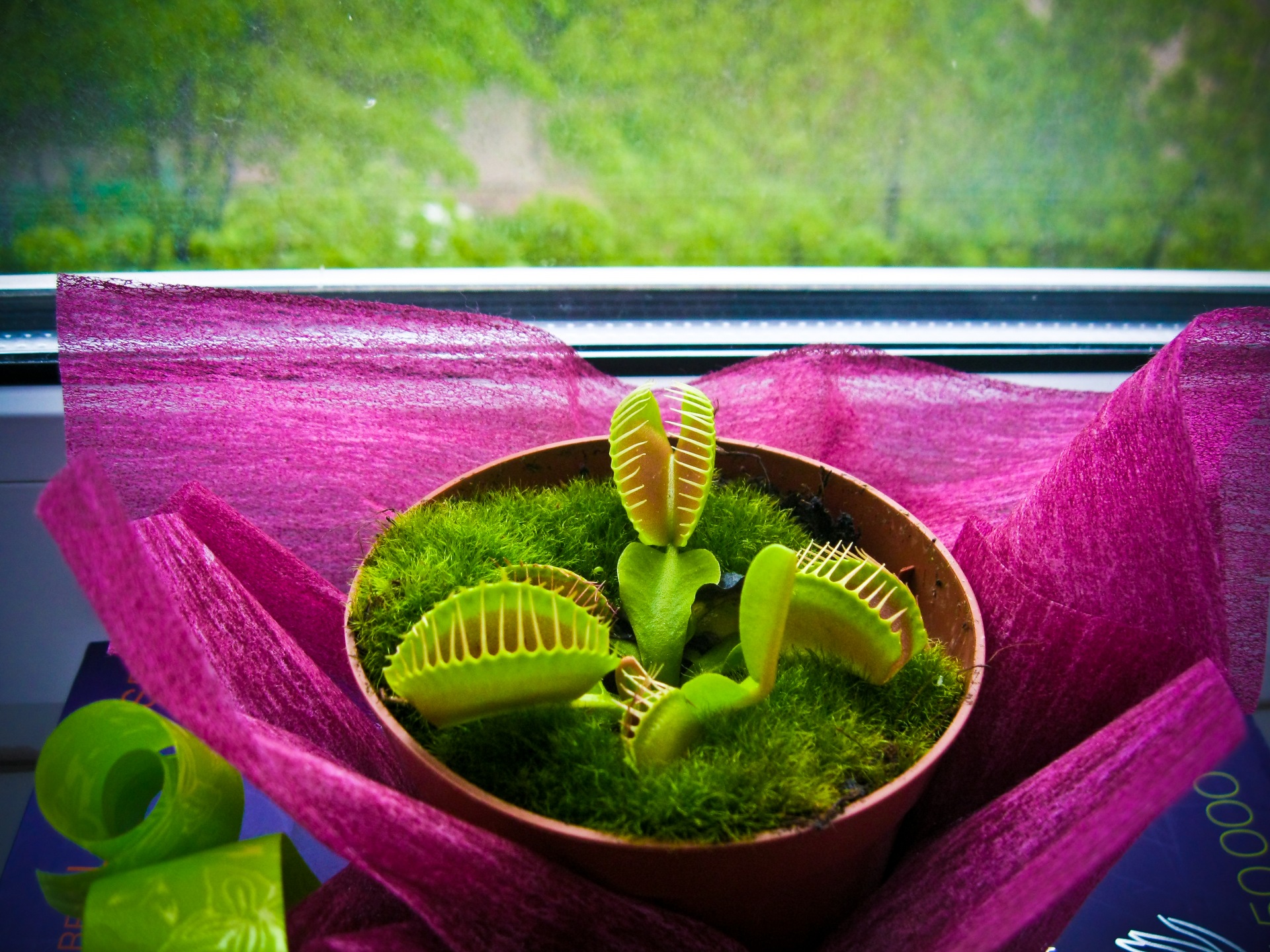 Жилец — DRIVE2