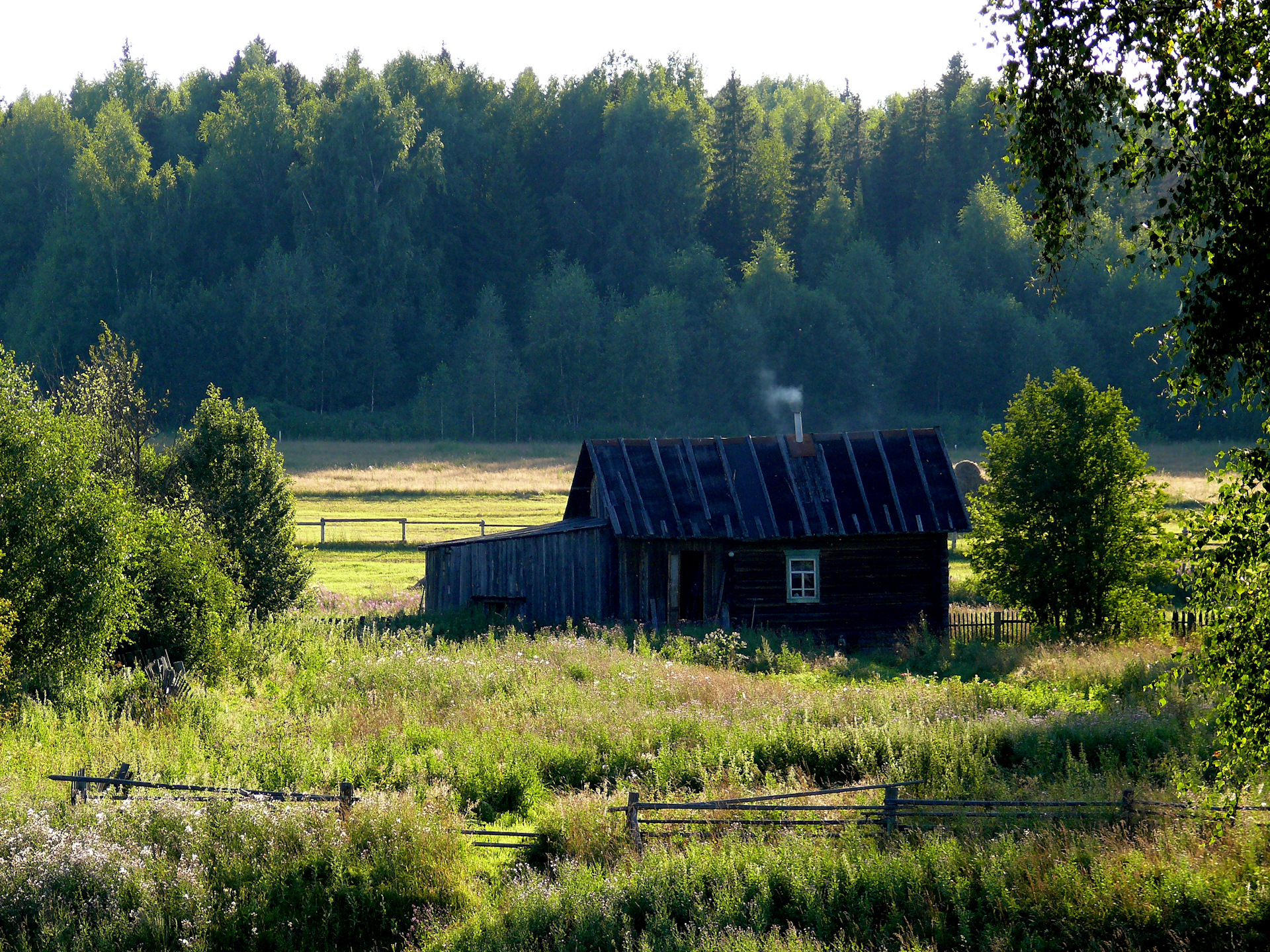 Фото дома в деревне летом