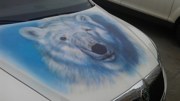 Аэрография Skoda — Белый медведь. — Сообщество «Аэрография» на DRIVE2