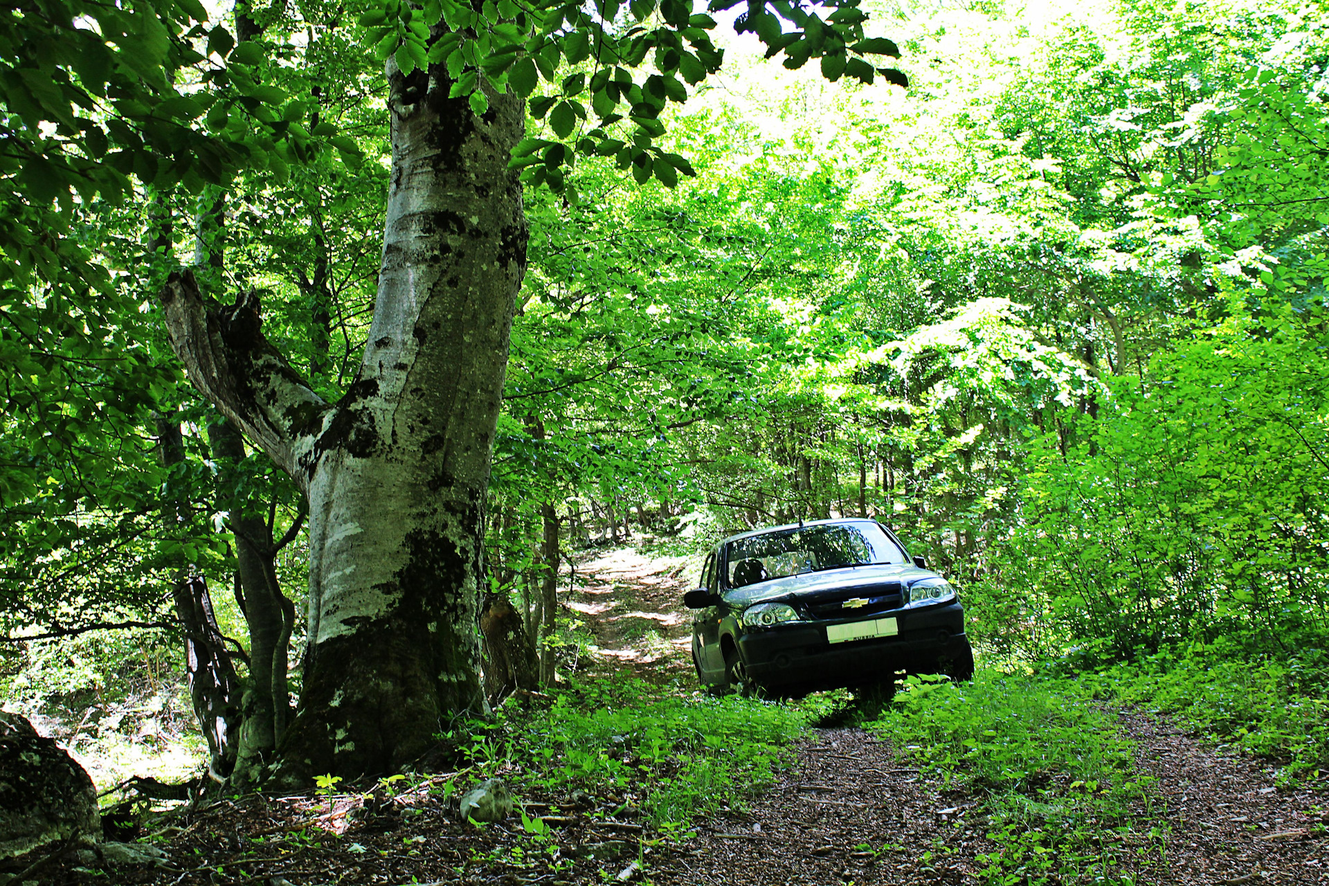 Осень, НИВА - Lada 4x4 3D, 1,7 л, 2018 года фотография DRIVE2
