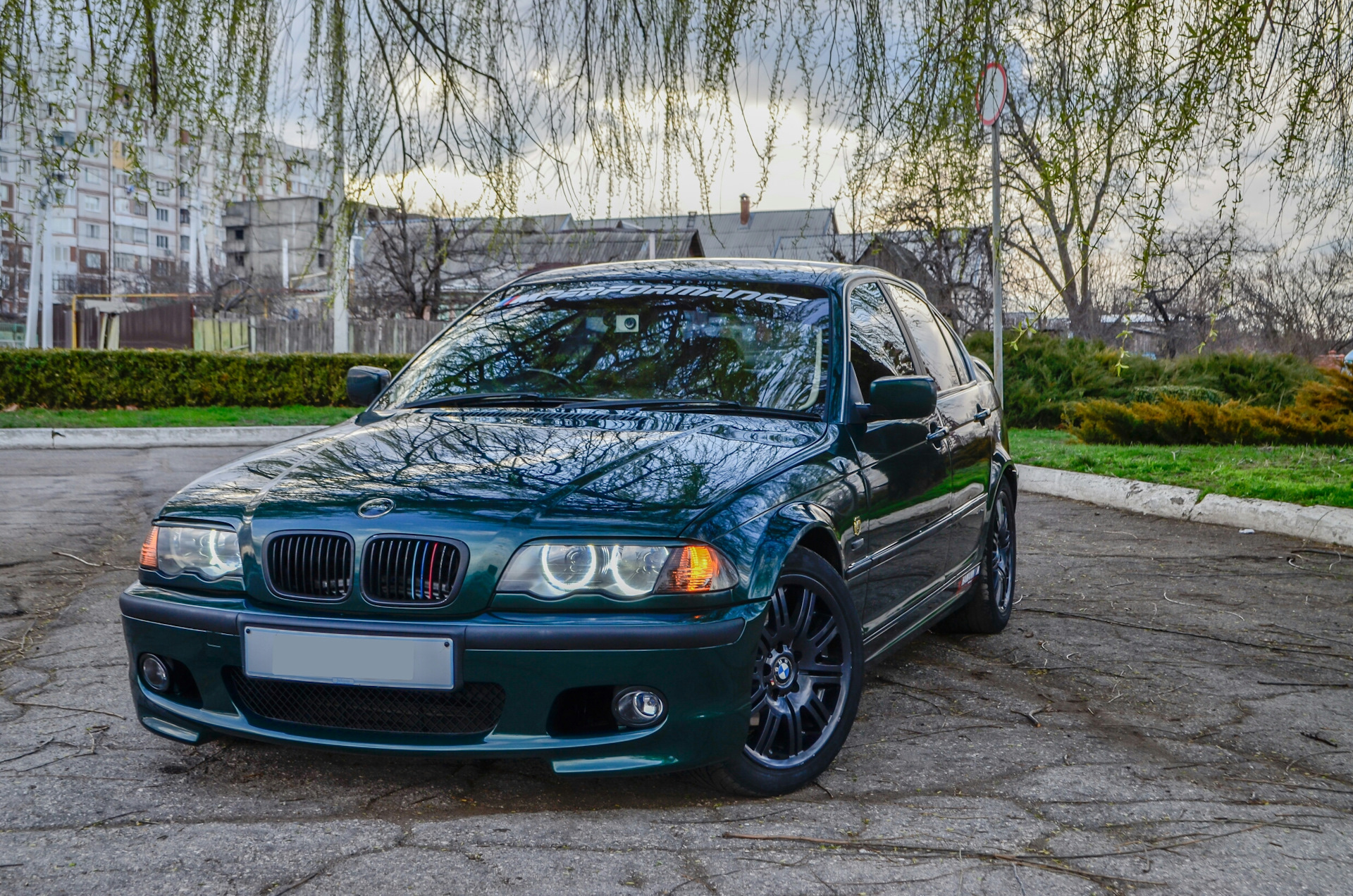 BMW m3 e46 Green