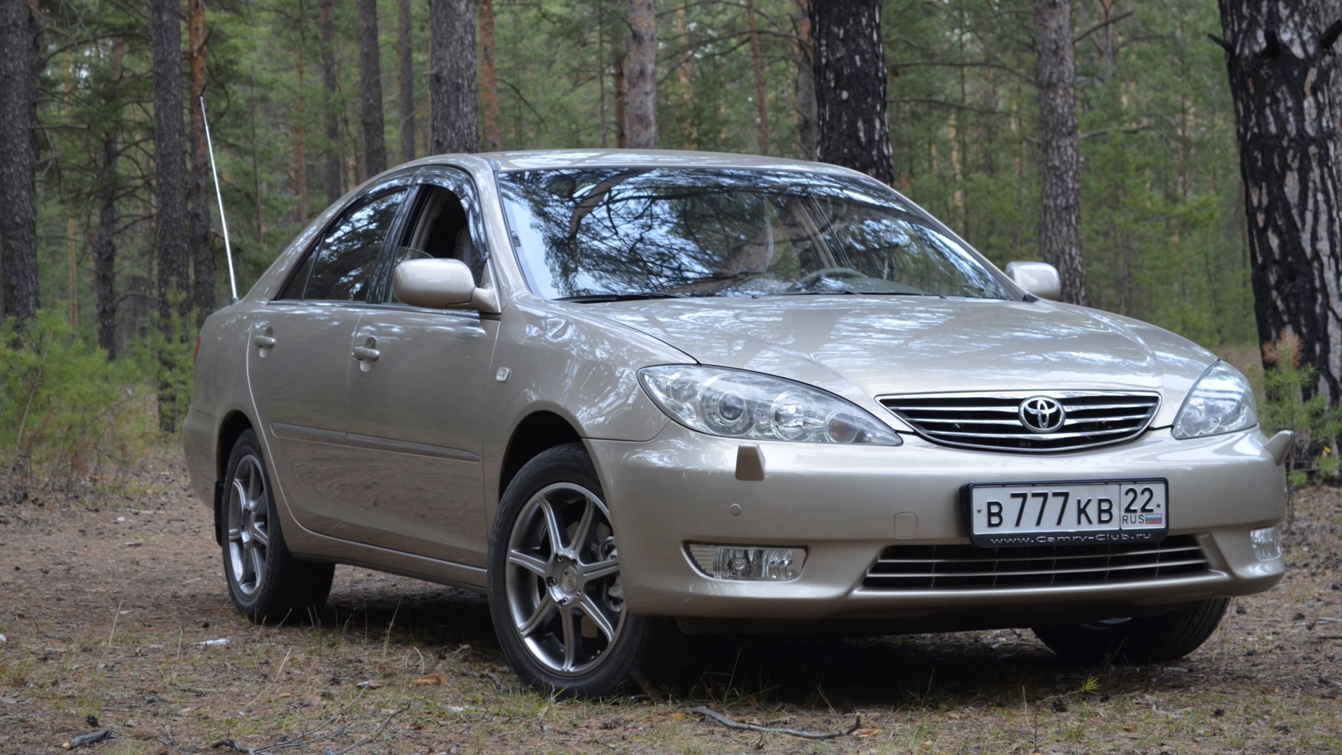 Toyota Camry (XV30) 3.0 бензиновый 2005 | Beige Dragonfly на DRIVE2