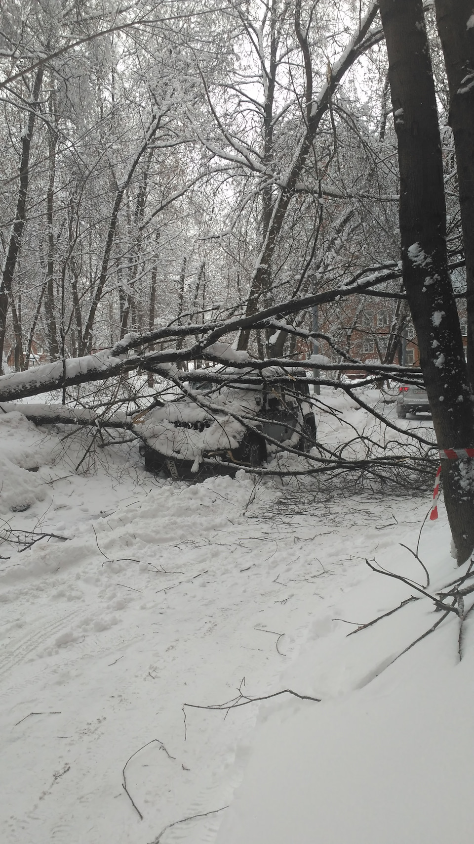 Во дворе было весело… — Skoda Octavia Combi A7 Mk3