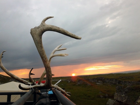 Фото в бортжурнале УАЗ 315195 Hunter