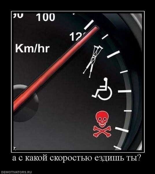 Смешная картинка про скорость