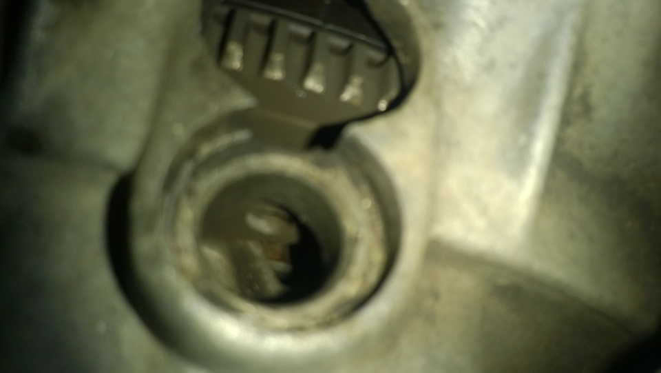 в какую сторону натягивать ролик грм пассат б3. Смотреть фото в какую сторону натягивать ролик грм пассат б3. Смотреть картинку в какую сторону натягивать ролик грм пассат б3. Картинка про в какую сторону натягивать ролик грм пассат б3. Фото в какую сторону натягивать ролик грм пассат б3 в какую сторону натягивать ролик грм пассат б3. Смотреть фото в какую сторону натягивать ролик грм пассат б3. Смотреть картинку в какую сторону натягивать ролик грм пассат б3. Картинка про в какую сторону натягивать ролик грм пассат б3. Фото в какую сторону натягивать ролик грм пассат б3