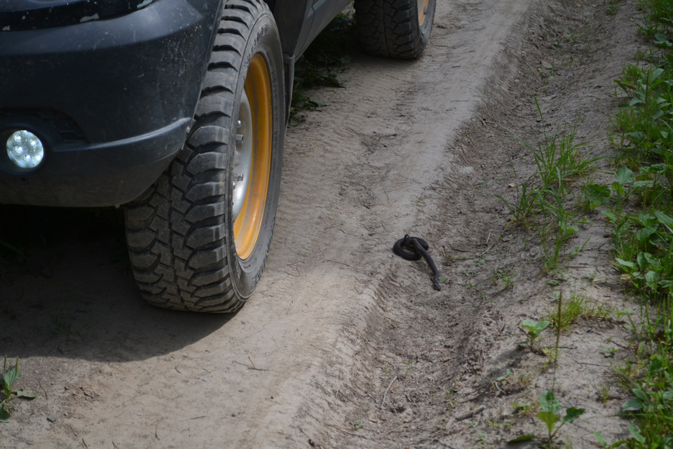 Фото в бортжурнале Mitsubishi Pajero Sport (2G)
