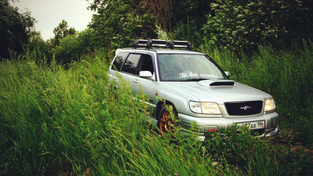 Subaru Forester (SF) 2.0 бензиновый 2001 | STI на DRIVE2