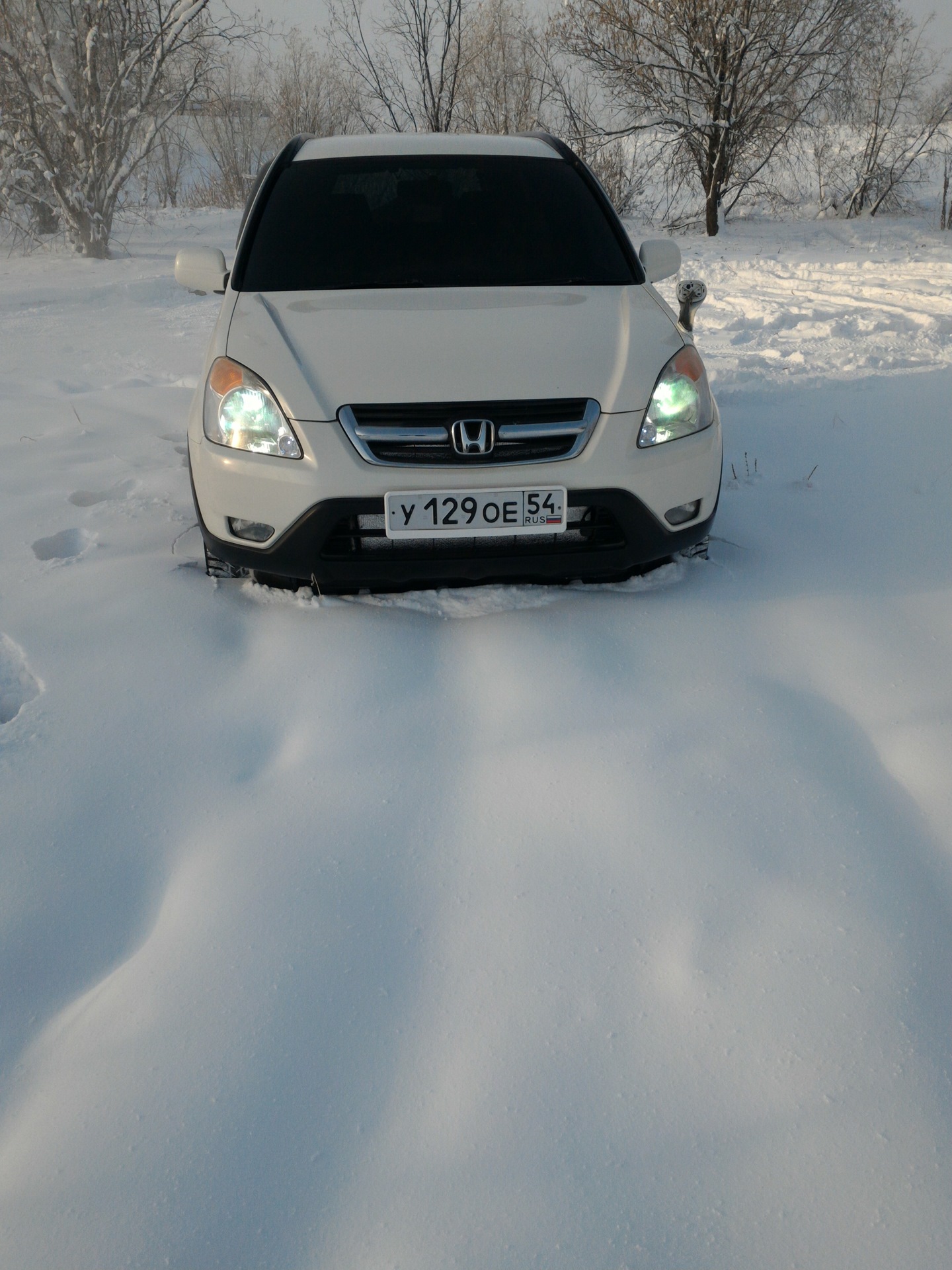 Новые фотки лошадки :) — Honda CR-V (RD4/RD5/RD6/RD7), 2 л, 2002 года ...
