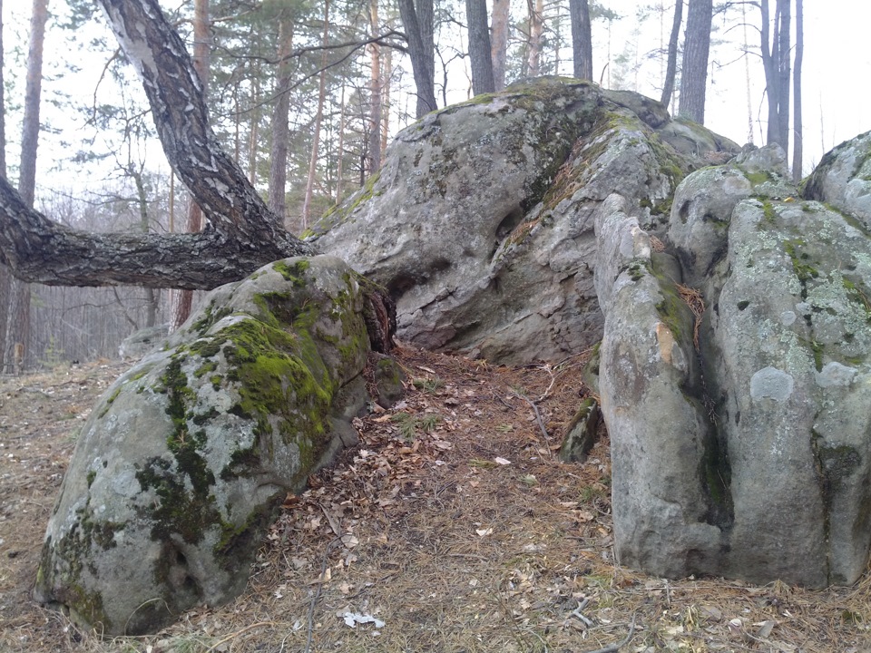 Рачеевские альпы самарской области фото