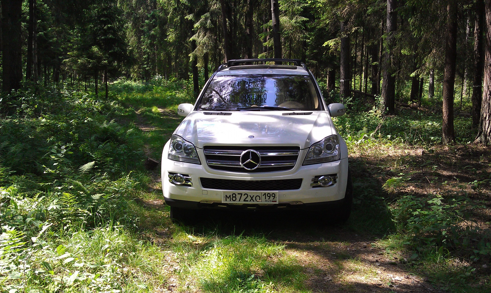 Фотосет Синий Слоник в лесу - Mercedes-Benz M-Class (W163), 3,2 л, 1999 года фот