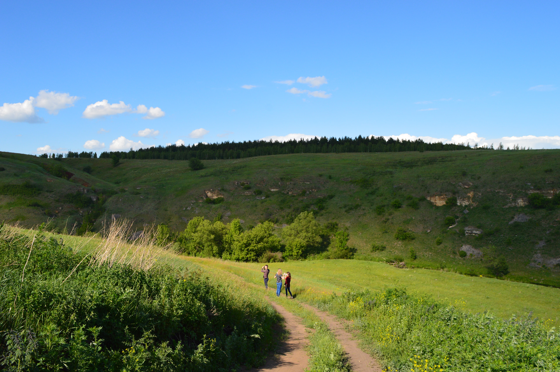 парк аргамач липецкая