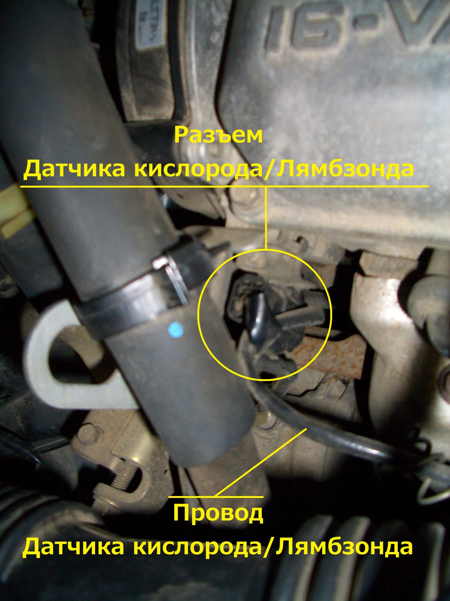 Лямбзонд-Датчик кислородный — Mazda Demio (1G), 1,3 л, 2002 года ...