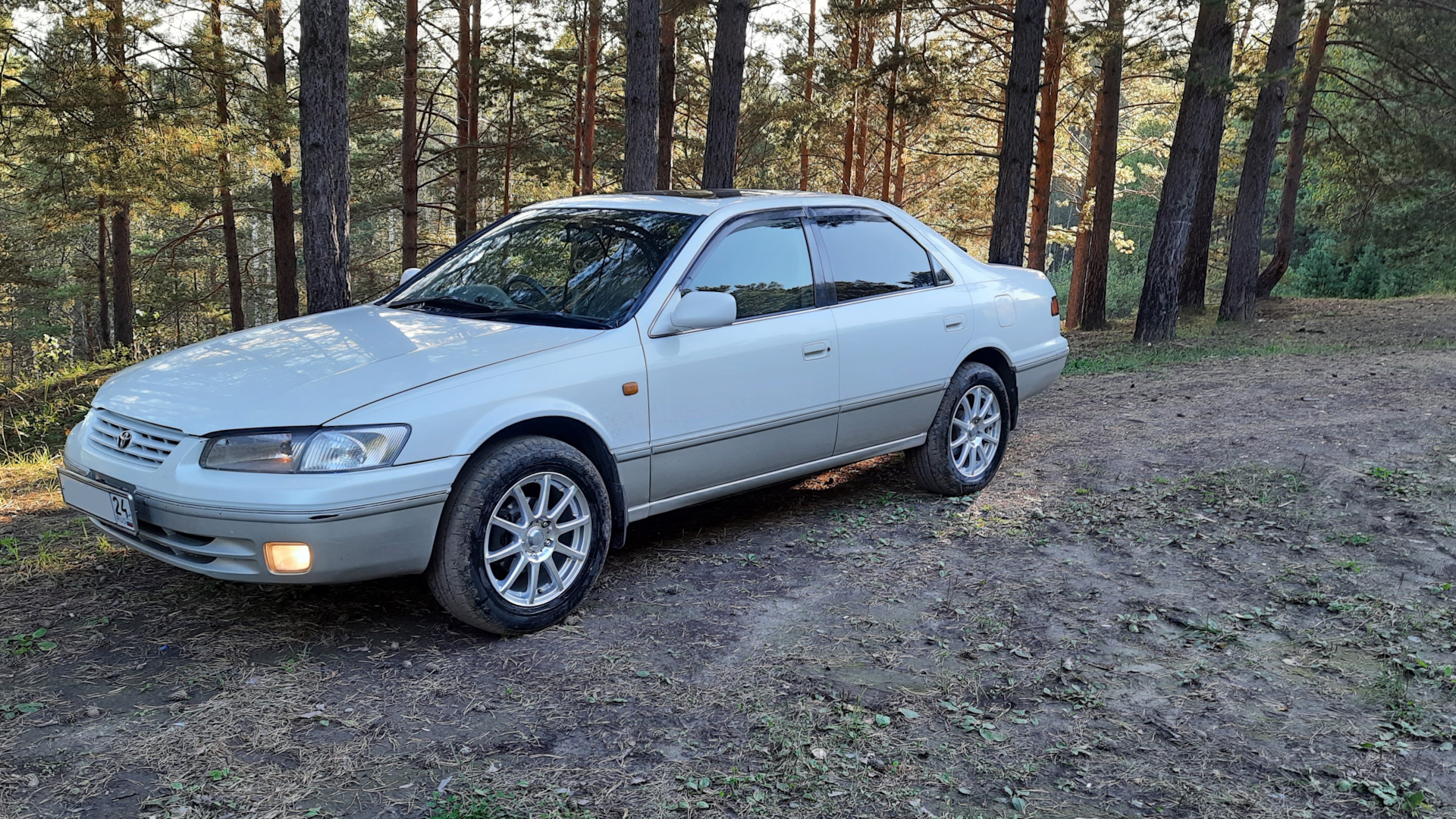 Toyota Camry Gracia 2.2 бензиновый 1997 | на DRIVE2