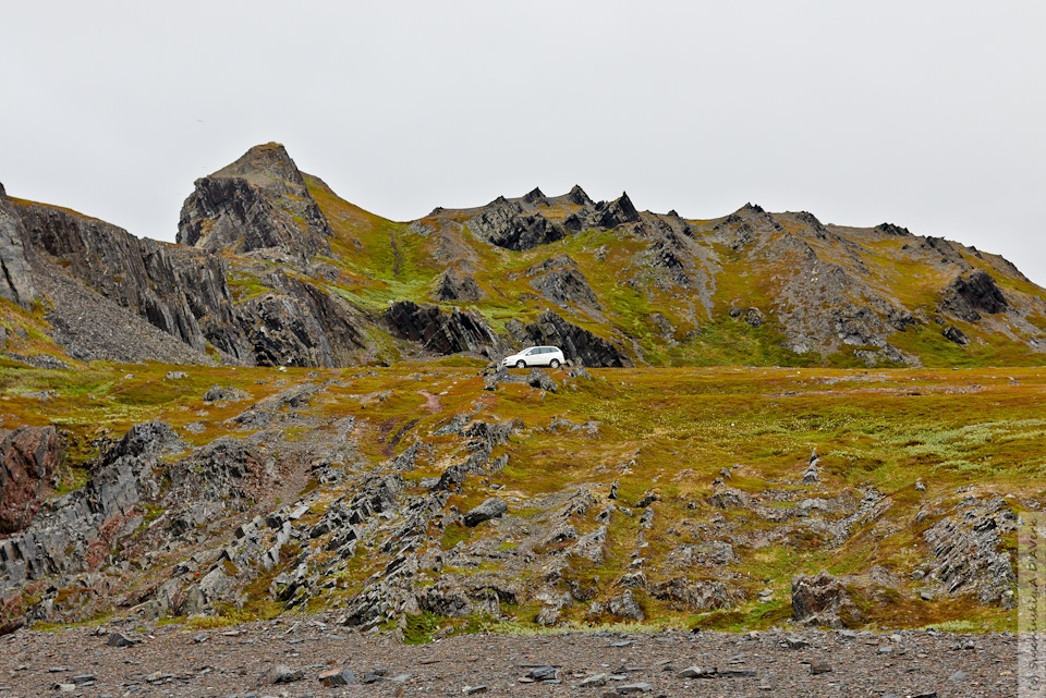 Фото в бортжурнале SsangYong Kyron