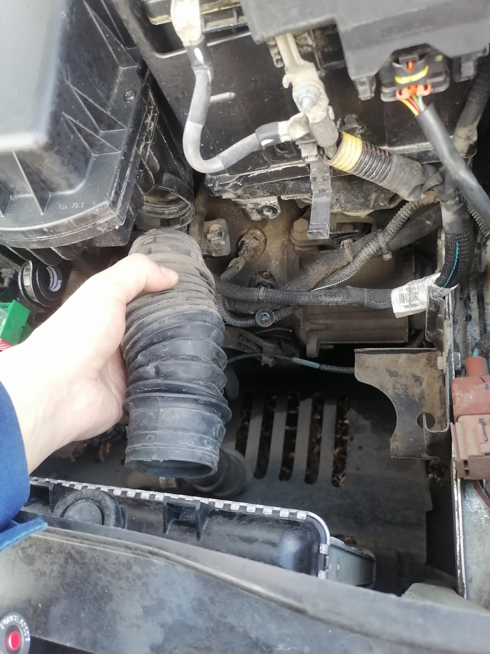 Photo from the logbook Citroen C4 L