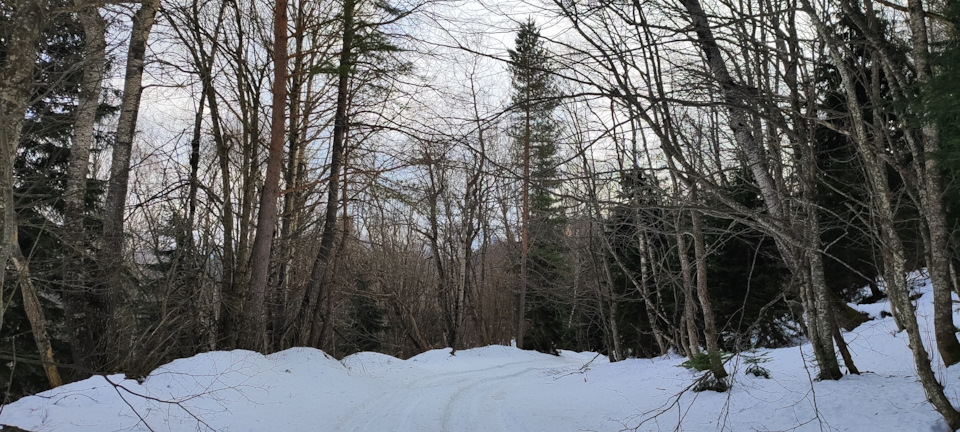 Фото в бортжурнале Mitsubishi Pajero (4G)