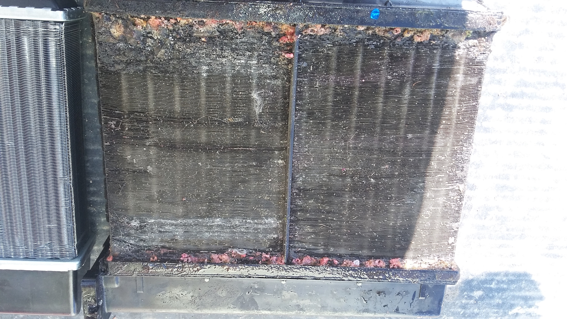 печка сименс бмв е34