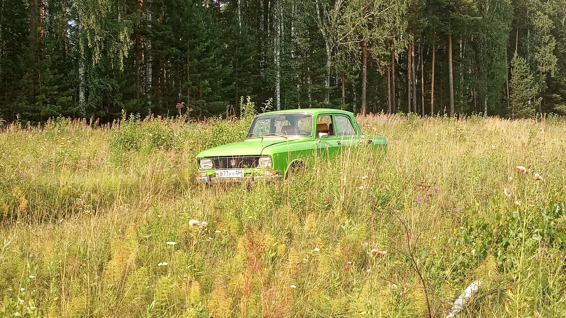 Москвич 2140 1.5 бензиновый 1983 | Зелёное чудо на DRIVE2