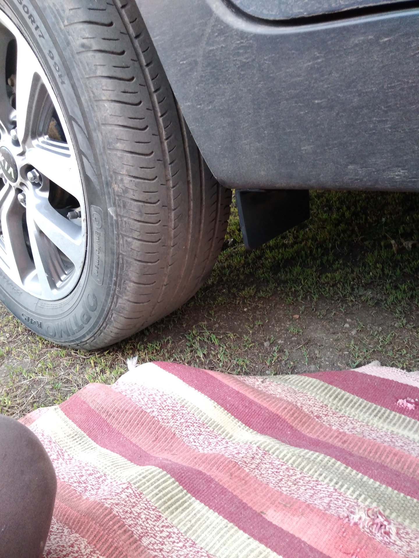 Брызговик перед задним колесом. — KIA Sportage (3G), 2 л, 2014 года ...