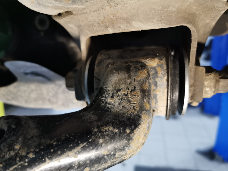 Фото в бортжурнале Toyota 4Runner (4G)