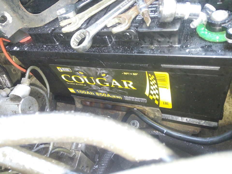 Смотрю так теперь модно говорить…"зверь умер!да здравствует зверь ...