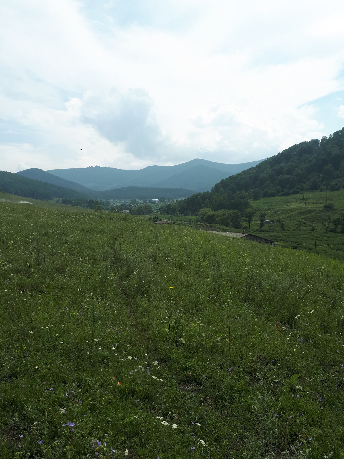 Чарыш алтайский край село. Деревня чарыш алтайский край. Алейск чарышское. Алейск чарышское. Село алтайское алтайский край.