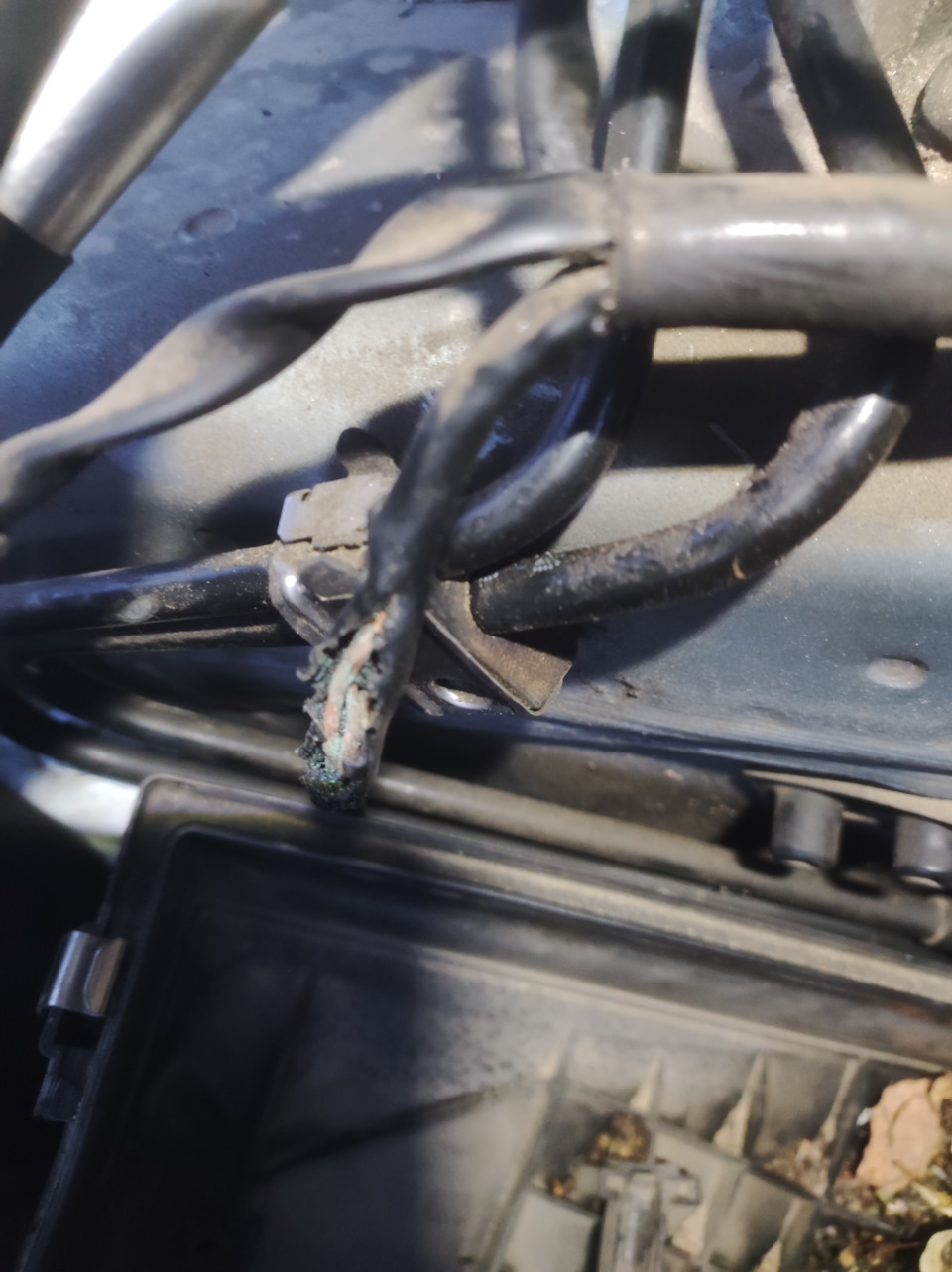 VW Passat B5 GP перегорает предохранитель на ABS (#7) и машина глохнет ...