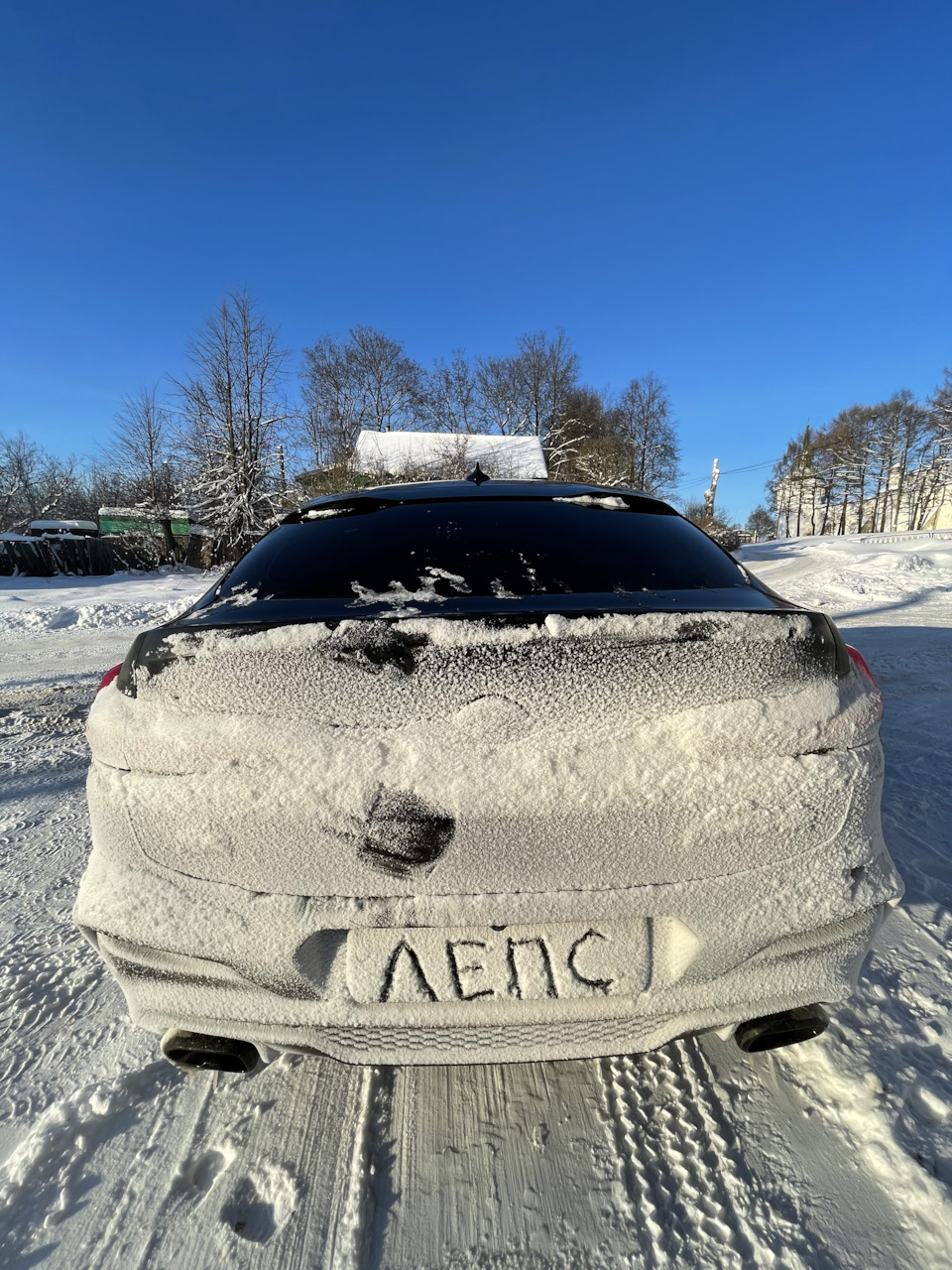 Фото в бортжурнале BMW X4 (G02)