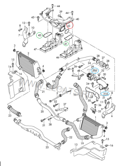 Замена ремня ТНВД + натяжной ролик (мотор ASB) 3.0 TDI — Audi A8 (D3 ...