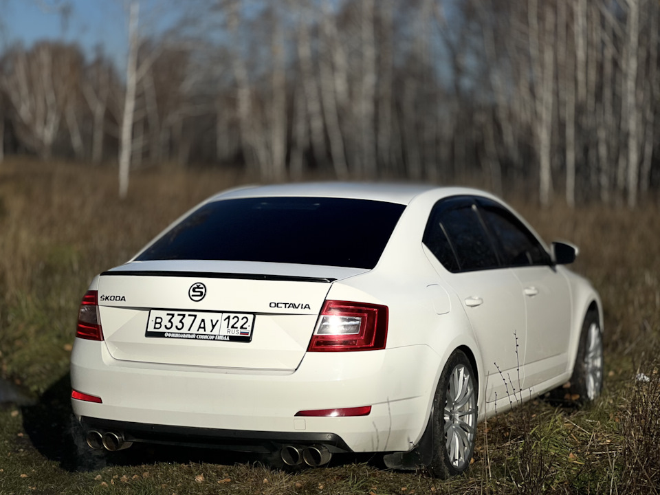 Octavia A7: Проблема дроссельной заслонки — Skoda Octavia A7 Mk3, 1,4 л ...
