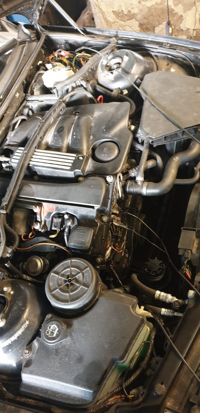 Фото в бортжурнале BMW 3 series (E46)