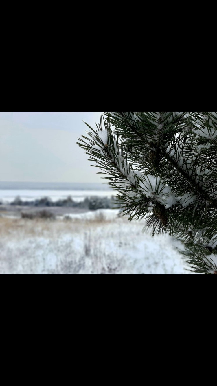 Зимний город Нефтекамск, РБ — Lada 21124, 1,6 л, 2004 года | просто так ...