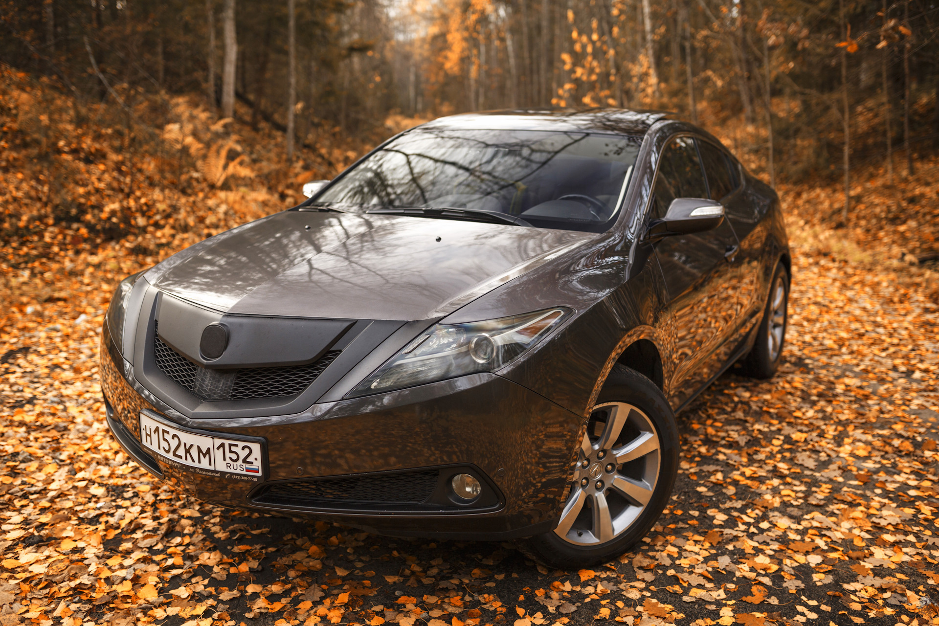 Acura ZDX 2010 коричневый