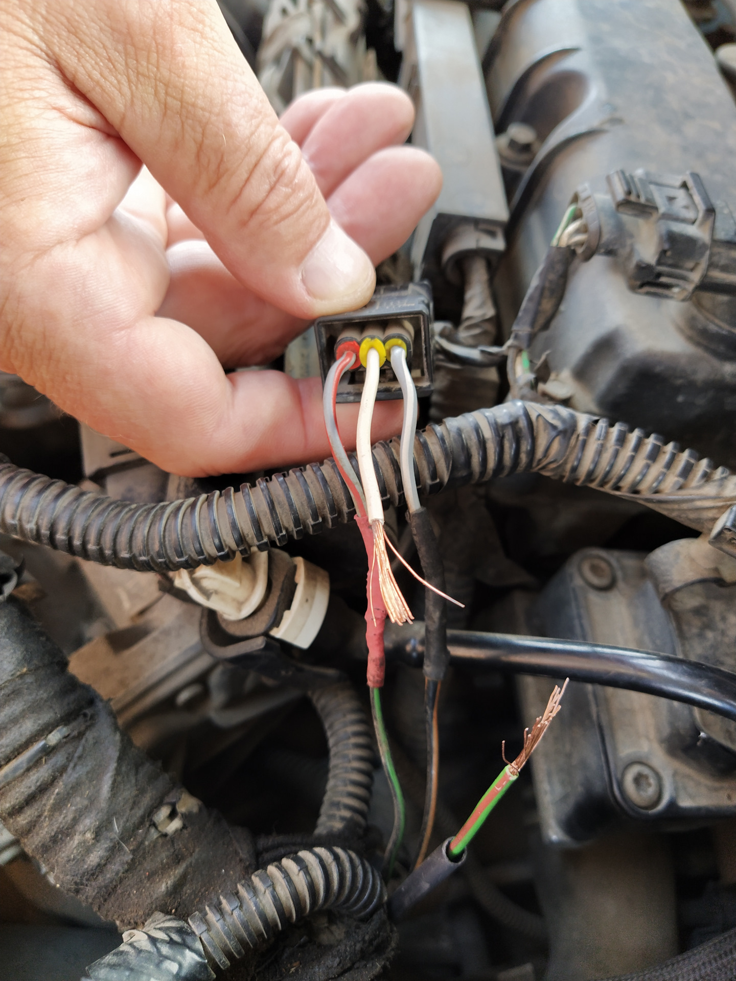 Катушка зажигания ford focus 2. Неисправности зажигания форд фокус. 8. Разъем катушки ford escape. Неисправности зажигания форд фокус.